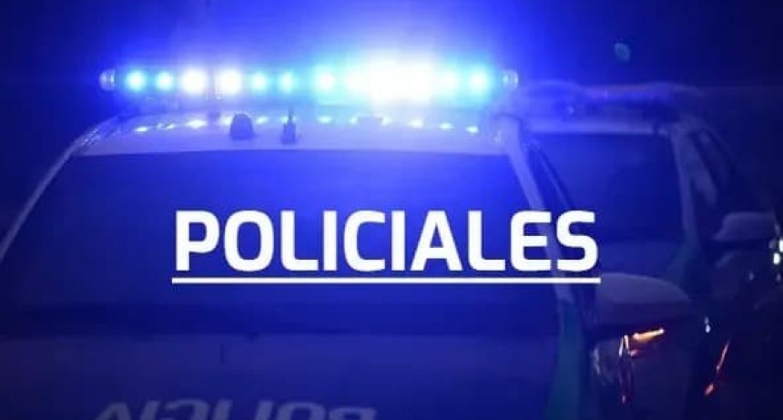 Robo a mano Armada y Detencion por daños en gresca vecinal