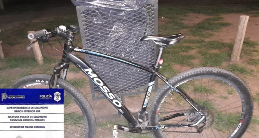 Recuperan bicicleta robada en Parque San Martín