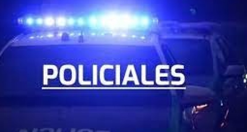 DETENCION POR AMENAZAS, DAÑO VIOLACION DE DOMICILIO REITERADAS