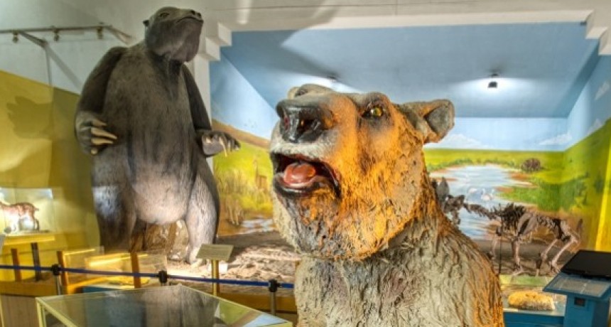 Actividades de museo por la semana de Darwin