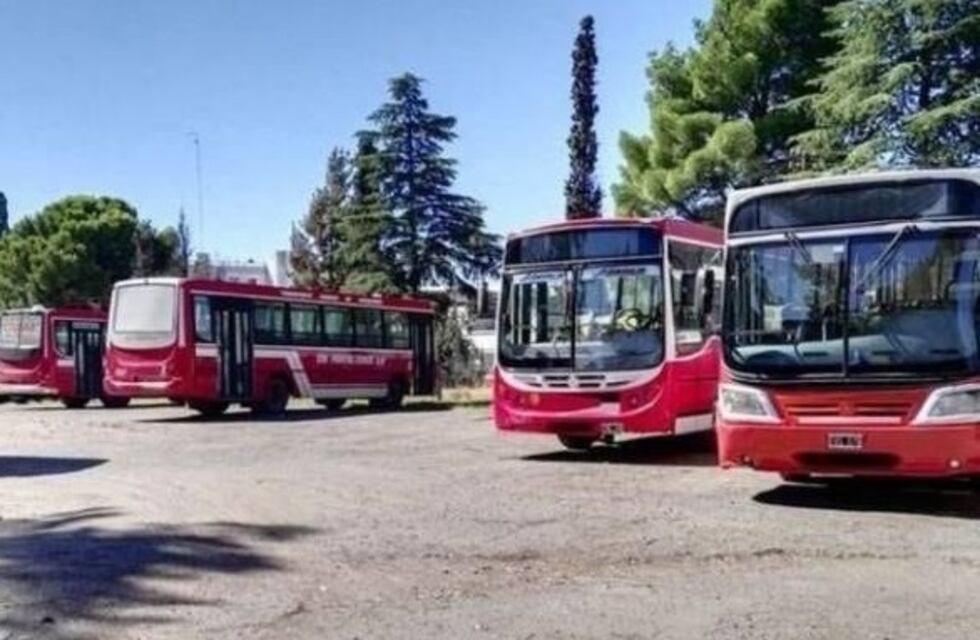 El día Domingo 15 de Septiembre habrá servicio gratuito hacia Puerto Rosales