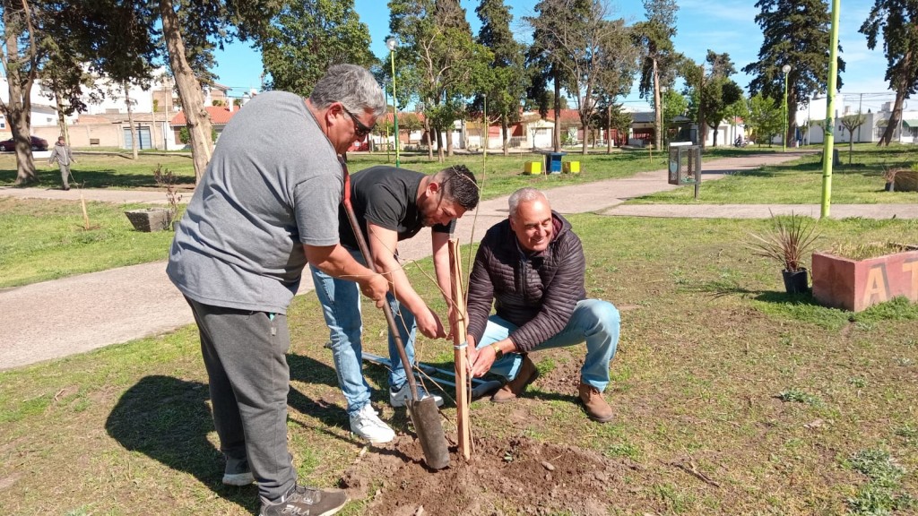 Plan Municipal de Forestacion Rosales 2024