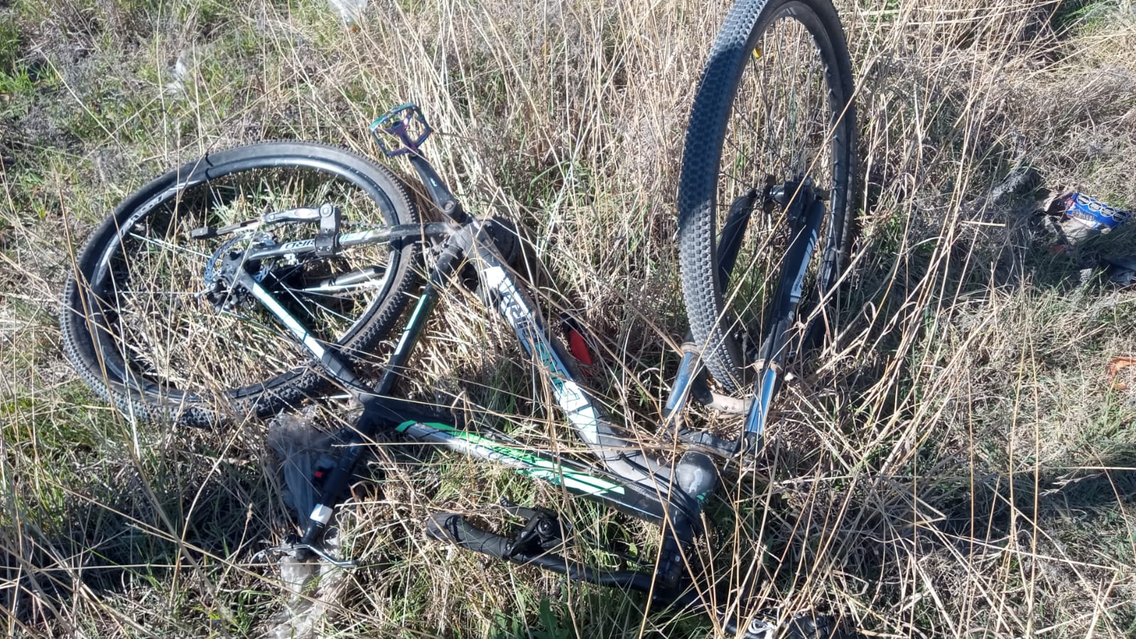 Tragedia:Nuevamente la Ruta 229 protagonista de accidentes vehiculares