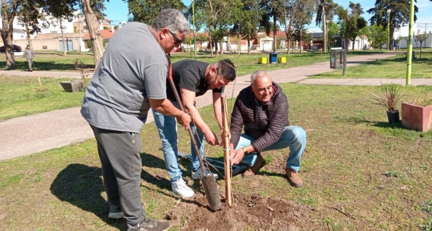 Plan Municipal de Forestacion Rosales 2024