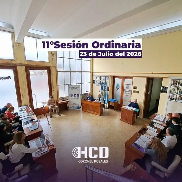 Proponen crear una Mesa Consultiva de Colegios y Consejos Profesionales en Coronel Rosales