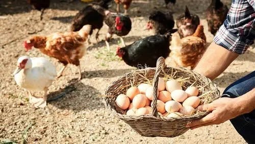 Supermercados bajo la lupa: qui&eacute;nes avanzan y qui&eacute;nes todav&iacute;a no se comprometen