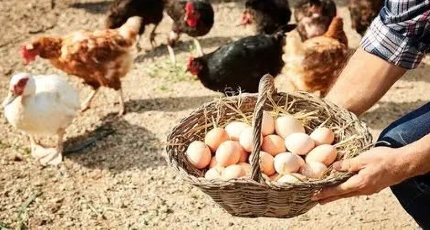 Supermercados bajo la lupa: qui&eacute;nes avanzan y qui&eacute;nes todav&iacute;a no se comprometen