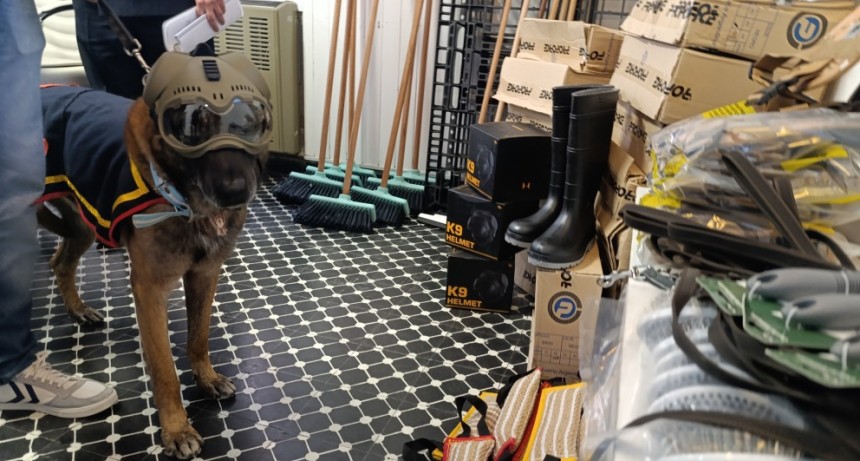 El Municipio entreg&oacute; equipamiento a la Agrupaci&oacute;n Perros de Guerra de la Base Naval Puerto Belgrano