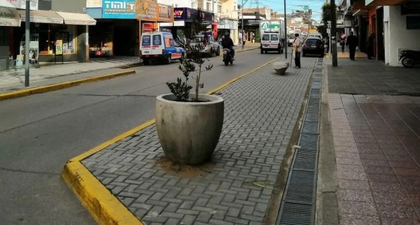 Resultados del Informe Económico Local - Punta Alta 
