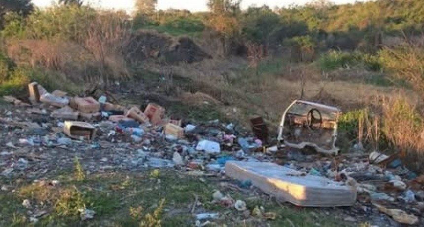 PLAN DE ERRADICACION DE MICROBASURALES