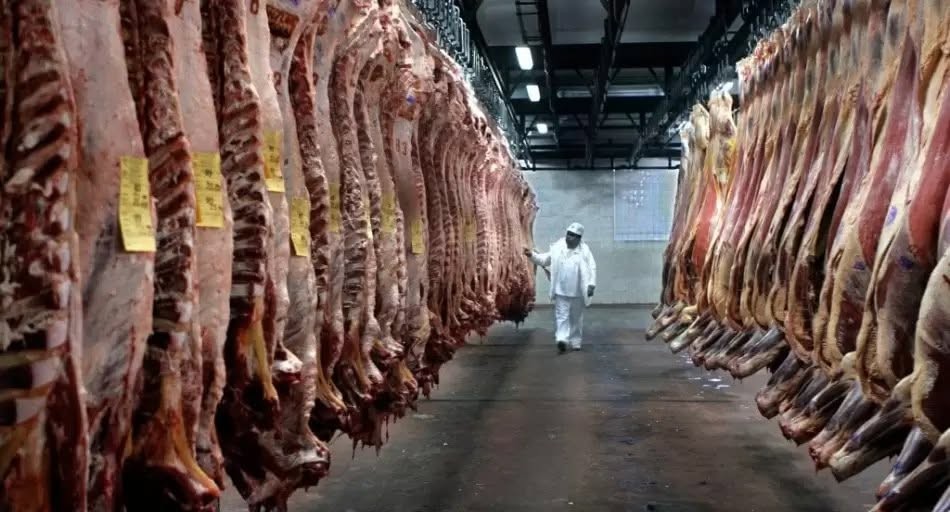 Al Comunismo nada? "acuerdo hist&oacute;rico" con Jap&oacute;n: el mercado de US$ 3.000 millones que se abre para Argentina