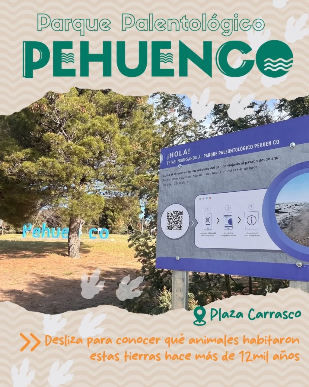 Pehuen Co invita a viajar en el tiempo: la ruta de la Megafauna que sorprende en Plaza Carrasco