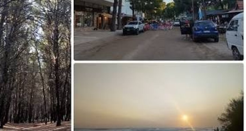 Pedal&uacute;dico llega a Pehuen Co en el marco del proyecto &ldquo;Cicloce&aacute;nico&rdquo;