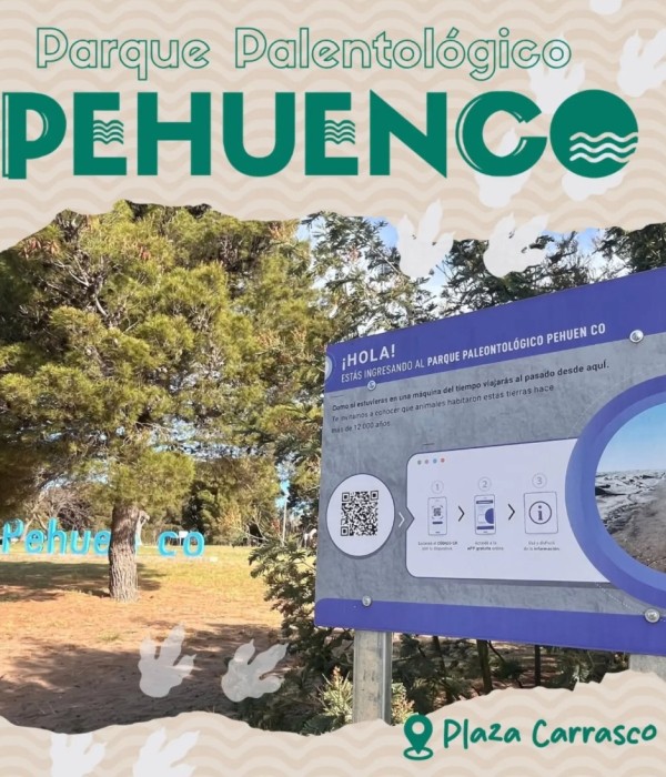 Pehuen Co invita a viajar en el tiempo: la ruta de la Megafauna que sorprende en Plaza Carrasco