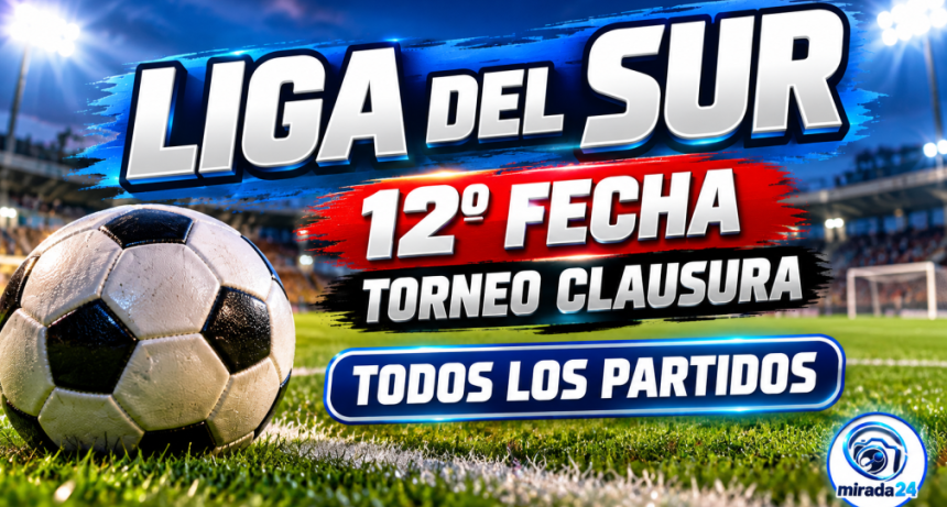 LIGA DEL SUR: PROGRAMACI&Oacute;N DE LA 12&ordf; FECHA DEL TORNEO CLAUSURA