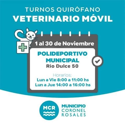 Quirófano Veterinario Móvil: Polideportivo de Rio Dulce 50