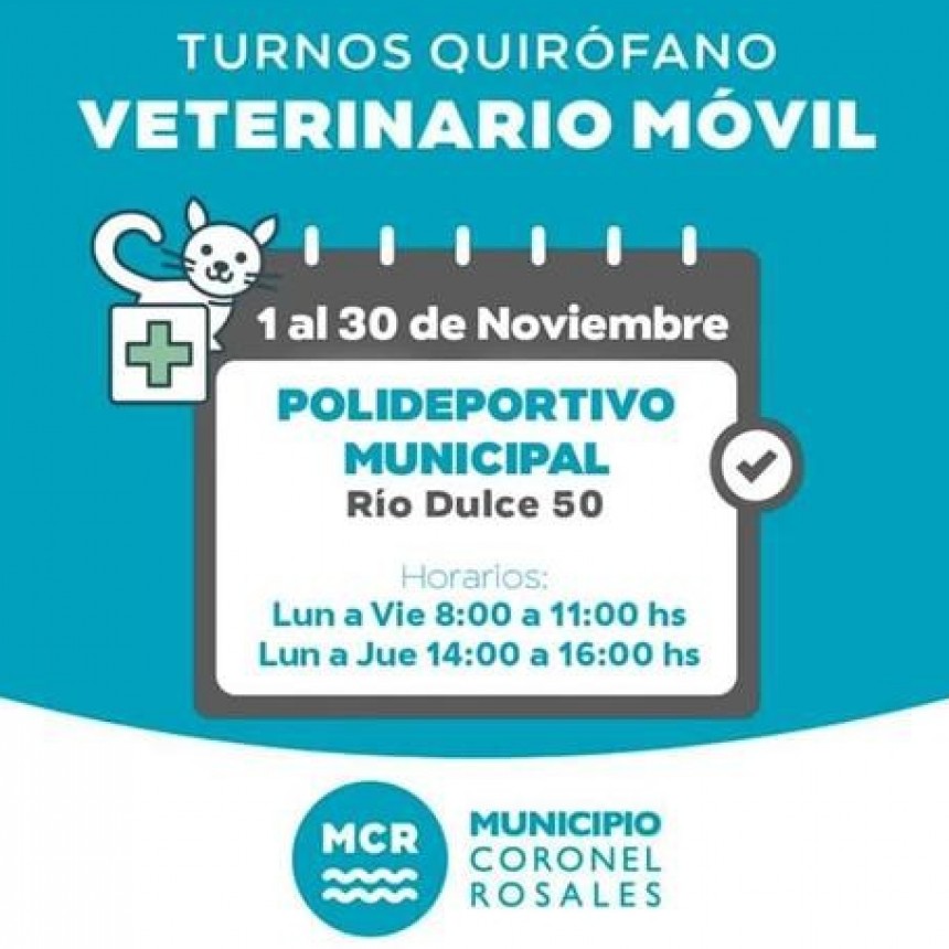 Quirófano Veterinario Móvil: Polideportivo de Rio Dulce 50