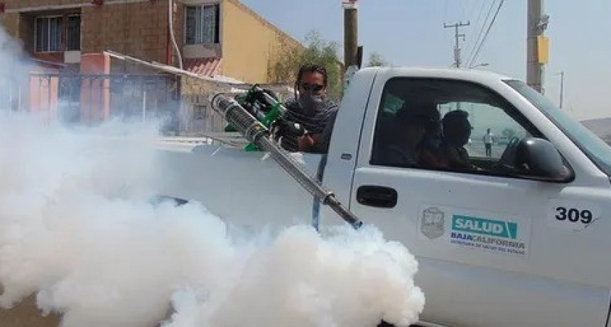 Continúan las tareas de fumigación en Rosales