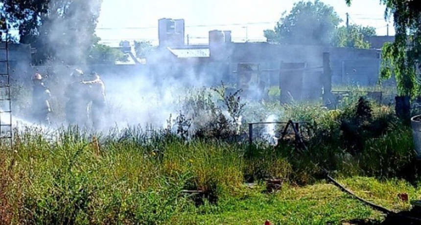 Punta Alta: quiso ahuyentar abejas y terminó causando un incendio