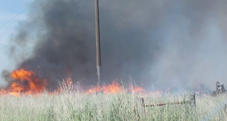Incendio en la Ruta 249 por la pérdida de una rueda