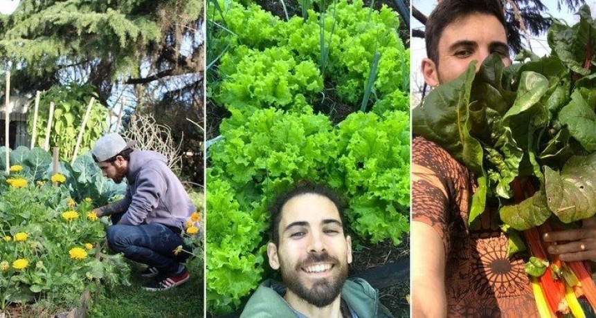 SOBRE INDEPENDENCIA ALIMENTARIA,PRODUCCION ORGANICA Y ECONOMIA SUSTENTABLE