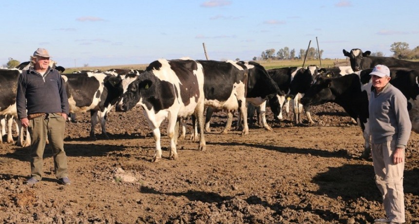 Productores de Córdoba y Santa Fe analizan cortar las rutas contra las retenciones