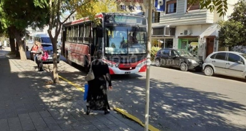 Anuncian que desde Mañana vuelven a funcionar las dos líneas locales de transporte publico.