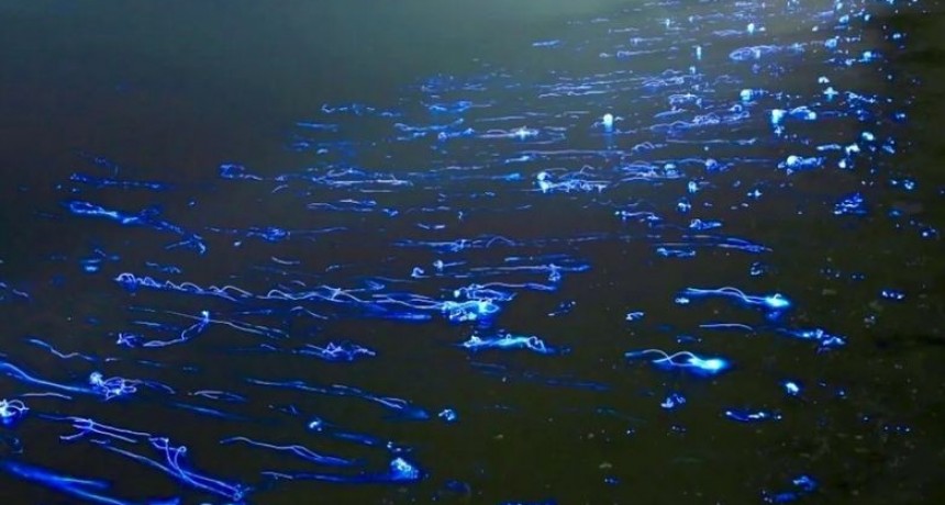 La luz del otro como faro que aclara el camino